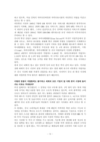[정보통신] SKT사례를 통한 중국이동통신서비스 시장 진출방안에 대한 분석-19