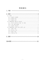 방송과 통신의 융합,DMB-2
