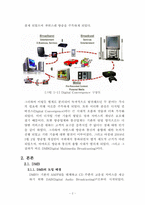 방송과 통신의 융합,DMB-5