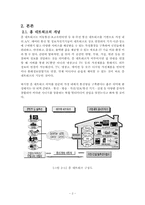 차세대 성장엔진, 홈네트워크-5