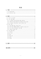 정부 및 여러 기업들의 홈네트워크산업 정책과 이에 대한 견해-2