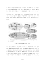 인터넷전화 서비스 산업의 올바른 정착을 위한 제안-16