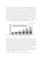 PC-TV convergence product와 발전방향 모색-8