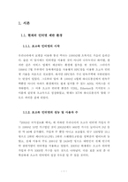인터넷종량제의 문제점과 해결방안-4