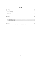 IT839 정책 레포트-2