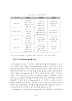모바일 텔레커뮤니케이션환경의 정보보호 정책방향-19