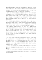 국제휴대폰시장에서의 경쟁력 강화 방안-8