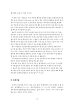 국제휴대폰시장에서의 경쟁력 강화 방안-18