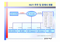 [증권시장론] SK와 소버린에 대하여-7