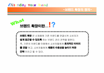 [브랜드관리] 브랜드확장 실패사례와 성공사례-3