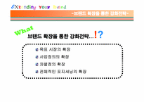 [브랜드관리] 브랜드확장 실패사례와 성공사례-4
