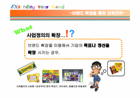 [브랜드관리] 브랜드확장 실패사례와 성공사례-6