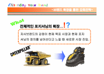 [브랜드관리] 브랜드확장 실패사례와 성공사례-8