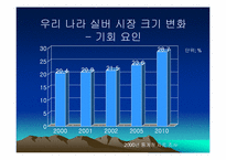 실버마케팅 레포트-12