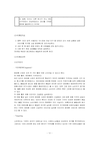 [광고론] 화장품 `스킨푸드`의 광고제작(광고기획서)-12