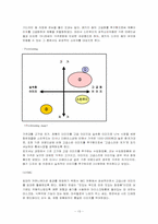 [광고론] 화장품 `스킨푸드`의 광고제작(광고기획서)-13