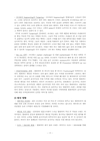 [국제마케팅] 현대자동차 쏘나타 북미시장진출 마케팅-17