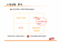 [광고캠페인기획] 비타500 광고기획서-5