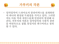 인문과학 일본의 가부키-17