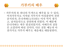 인문과학 일본의 가부키-20