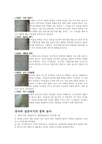 블록의 역사와 발전-2