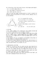 프뢰벨 교육사상과 접근법-12