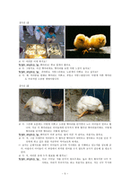 덕목(생명존중)을 여러 매체로 배워보기-5