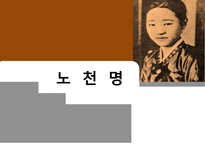 인문과학 노천명-1