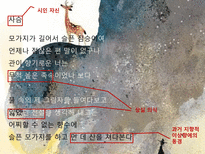 인문과학 노천명-15