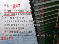 인문과학 노천명-17