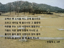 인문과학 노천명-18