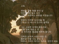 인문과학 노천명-19