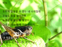 인문과학 노천명-20