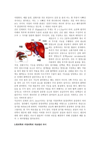 간 을 통해서 본 한의학과 서양의학의 비교 및 분석-5
