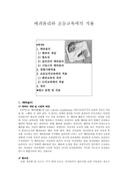 [수업지도안] 배려윤리와 초등교육에의 적용-1