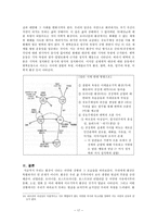 인문어학 환상과 리얼리티 대서사의 귀환과 포스트모던 리얼리즘 환상의 지도-17