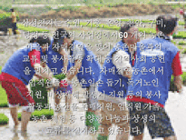 삼성 전자 의 다양한 사회환원 활동 삼성전자 사회복지 삼성전자 환경보전 삼성전자 문화예술 삼성전자 학술교육 삼성전자 국제교류 삼성전자 자원봉사 삼성전자 사회활동-6