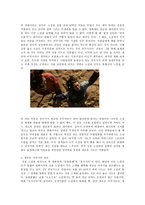 인문과학 김용 소설 원작 왕정 감독의 영화 의천도룡기 에 대하여-2