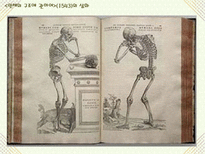 자연과학 의화학의 발달과 혈액 순환설-7
