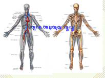 자연과학 의화학의 발달과 혈액 순환설-10