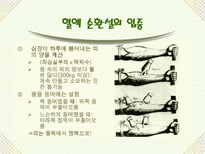 자연과학 의화학의 발달과 혈액 순환설-19