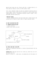 전환교육 사정 및 배치 사정과 배치의 중요성 전환교육 사정전략 장애인고용촉진-3