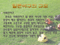 일본야구 일본야구역사 일본 프로야구 구성 일본야구 규모 일본유명 야구선수-13
