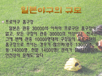 일본야구 일본야구역사 일본 프로야구 구성 일본야구 규모 일본유명 야구선수-14