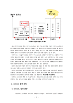 아이리버 아이리버 역사 아이리버 개요 아이리버 SWOT 분석 아이리버 해외진출 사례 및 분석-18