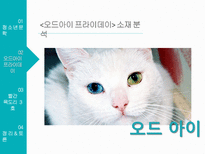 청소년문학 - 오드아이 프라이데이, 빨간 목도리 3호-16