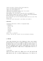 P O Nedlloyd P O Nedlloyd 소개 P O Nedlloyd 역사 P O Nedlloyd 발전과정-2