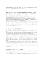 P O Nedlloyd P O Nedlloyd 소개 P O Nedlloyd 역사 P O Nedlloyd 발전과정-5
