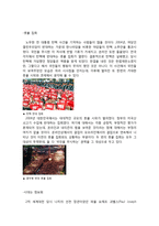 우리 시대의 권력에 대하여-4