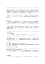 사회과학 피아제이론에 기초한 유아교육 프로그램-3